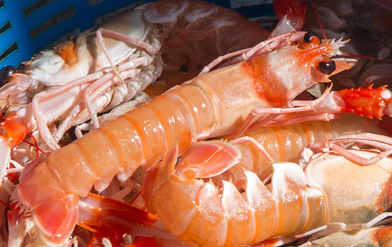 La Casita Del Pescador Villa Caleta de Vélez Eksteriør billede